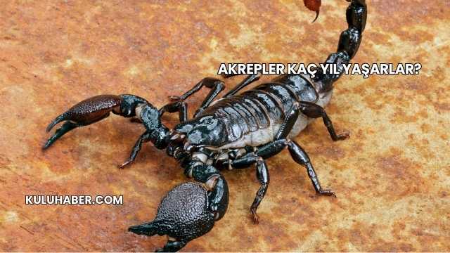 Akrepler Kaç Yıl Yaşarlar?