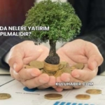 Amerika'da Nelere Yatırım Yapılmalıdır?