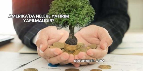 Amerika'da Nelere Yatırım Yapılmalıdır?