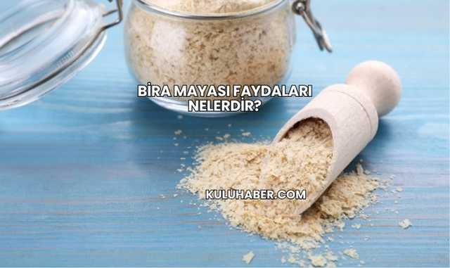 Bira Mayası Faydaları Nelerdir?
