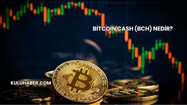 Bitcoin Cash (BCH) Nedir?
