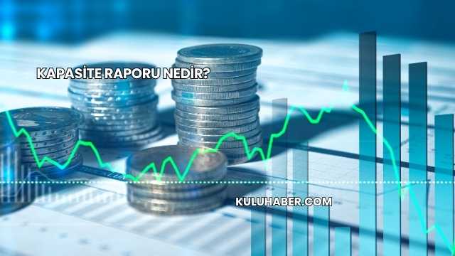 Kapasite Raporu Nedir?