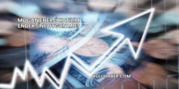 Mogan Enerji Katılım Endeksine Uygun mu?