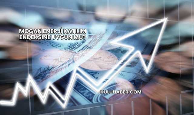 Mogan Enerji Katılım Endeksine Uygun mu?